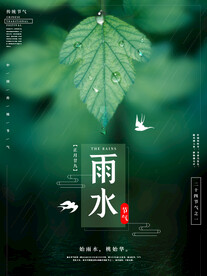 雨水节气海报