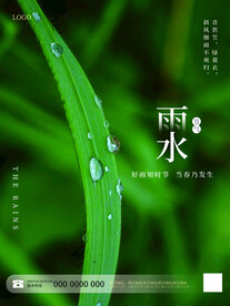 雨水节气海报