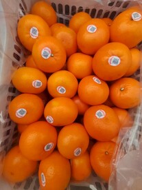 沃柑 春见 丑柑 