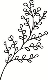 线描叶子