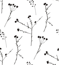 线描植物 