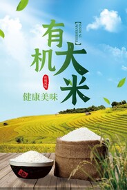 大米海报