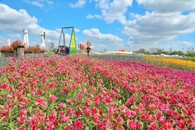 百合花