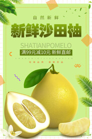 柚子