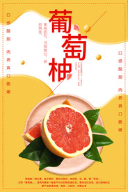 柚子海报