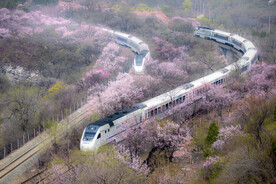 开往春天的列车