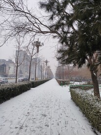 风景