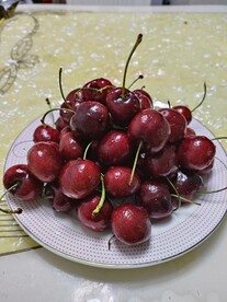 美食