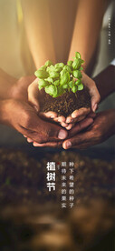 植树节