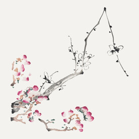 传统水墨梅花矢量素材