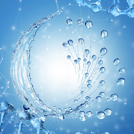 水艺术