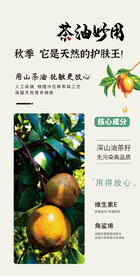 山茶油 