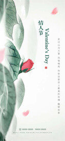 情人节