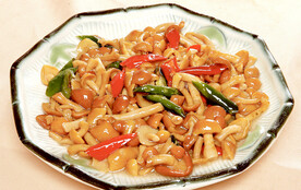 鸡汁珍珠菌