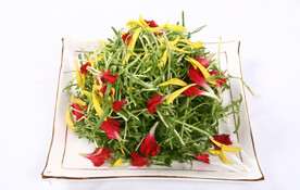 草尖吻鲜花