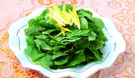 金菊食香菜