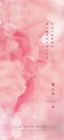 情人节