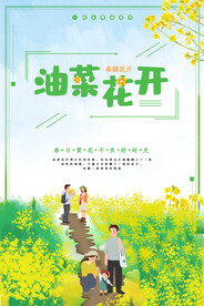 油菜花开