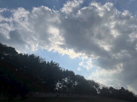 逆光美景