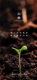 立春