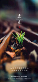 立春