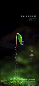 立春