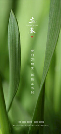 立春