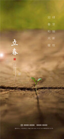 立春
