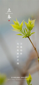 立春