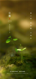立春