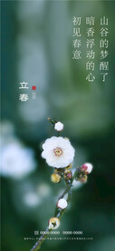 立春