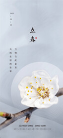 立春