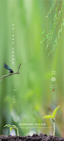 立春