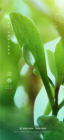 立春