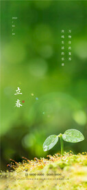 立春