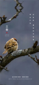 立春
