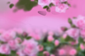 鲜花背景溶图