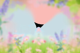 鲜花背景溶图 