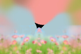 鲜花背景溶图