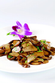 黄牛菌
