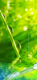 雨水