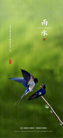 雨水