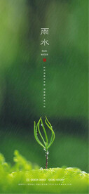 雨水