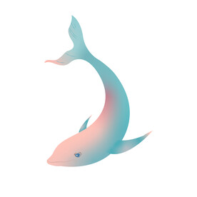 海豚