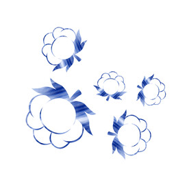 棉花