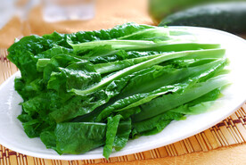 凤尾
