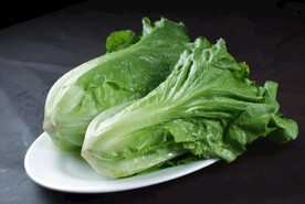 生菜
