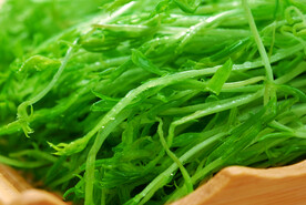 豆芽