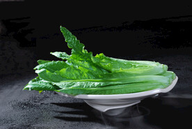 凤尾