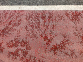 早春跑道上的冰花